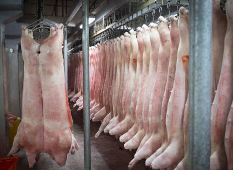 肉聯(lián)廠冷庫